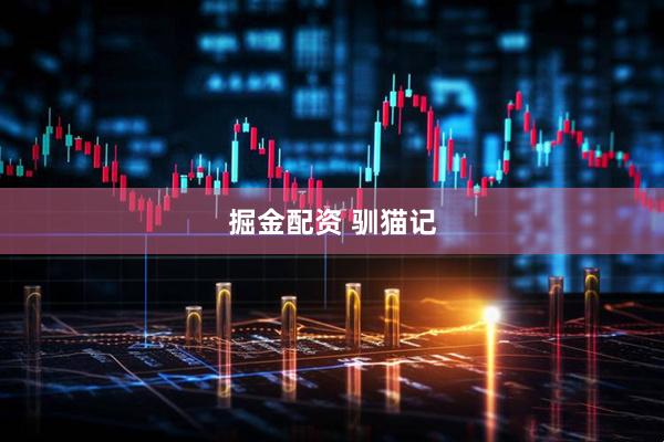 掘金配资 驯猫记