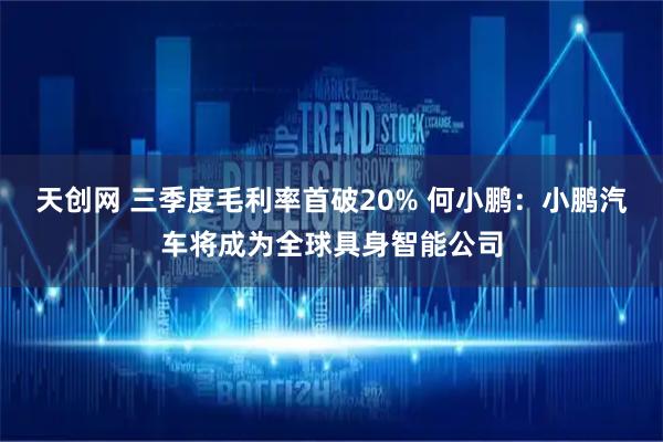 天创网 三季度毛利率首破20% 何小鹏：小鹏汽车将成为全球具身智能公司