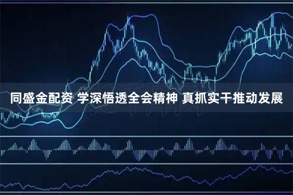 同盛金配资 学深悟透全会精神 真抓实干推动发展