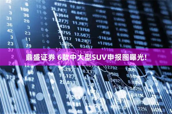 鼎盛证券 6款中大型SUV申报图曝光!